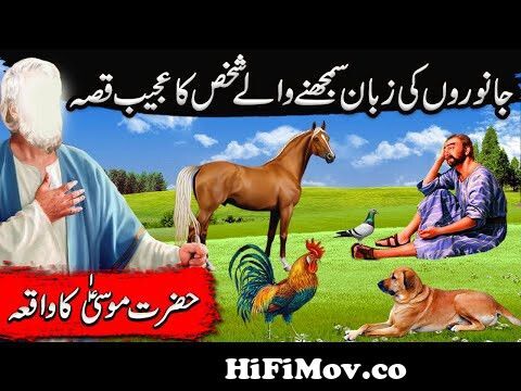 Hazrat Musa Ali Salam ka Waqia|Janwaron ki boliyan samajhne wala ki kahani  |Islamic Moral Stories from hazrat Watch Video 