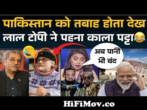 Pakistan ko Barbaad hota Dekh laal topi ka rang hua kaala | Pak media funny  😄 from pakitani y mp4 Watch Video 