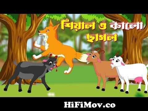 শিয়ালের পাঠশালা | Shiyaler Pathshala | Bangla Cartoon | Thakurmar Juli |  Fox Cartoon Bangla 2022 from bangla sial fonditar patsala storydian Watch  Video 