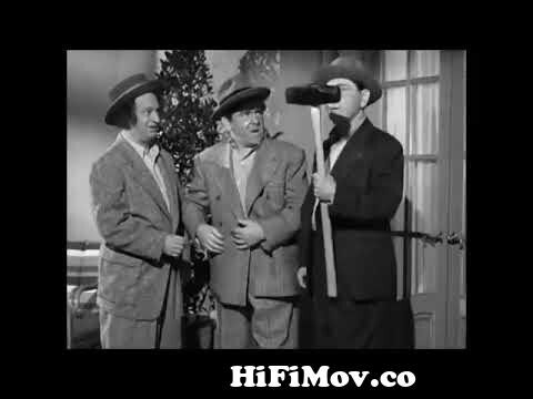 The Three Stooges | Punch Drunks | 1934 | Moe Howard | Larry Fine | Curly  Howard |🐒 from x com three stooges funny Watch Video 