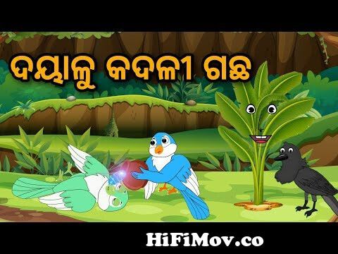 Suna ra Kadali Ghara || odia stories || odia bird Story || odia story ||  kahani from odia cartoon Watch Video 