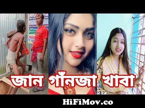 Bangla 💔 Tik Tok Videos | চরম হাসির টিকটক ভিডিও (পর্ব- ৩৮) | Bangla Funny  TikTok Video | SBF TIKTOK from bangla and videos com Watch Video -  