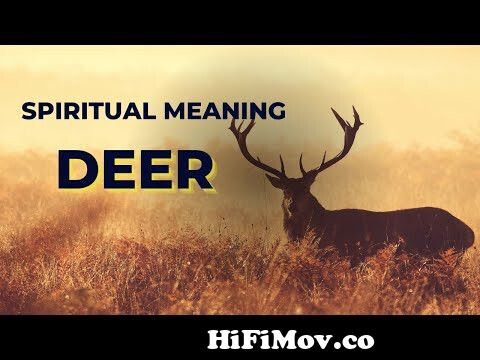 View Full Screen: deer symbolism decoding its spiritual message 124 flowwithlife.jpg