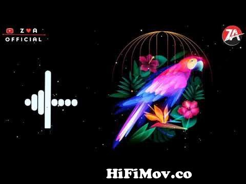 🐦Bird Ringtone || Animal And Bird || Bird Sound || Animal 🐦 bird Ringtone  || [DOWNLOAD, LINK,] ⬇️ from bird tone ringtone download Watch Video -  