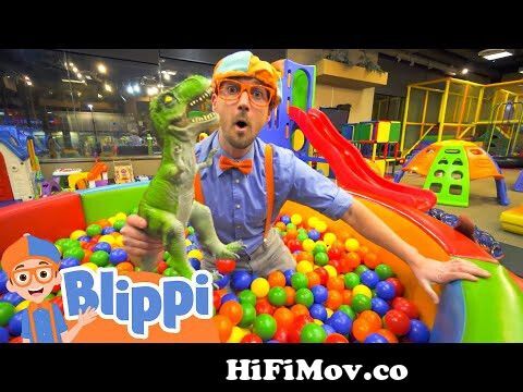 Blippi Visits an Indoor Playground! | Animals for Kids | Animal Cartoons |  Learn about Animals from voieb Watch Video 