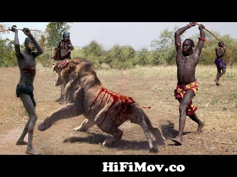আফ্রিকার সবচেয়ে ভয়ঙ্কর ১০ টি শিকারি পশু | দেখলে চমকে যাবেন Greatest  Predators Of The African Wild from ডিসকবার Watch Video 