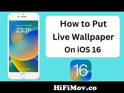 How to Set Live Wallpaper on iPhone iOS 16 | Put Live Wallpaper on iOS 16  from wilepaper Watch Video 