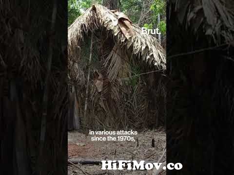 View Full Screen: day in the life of an amazon jungle tribe.mp4