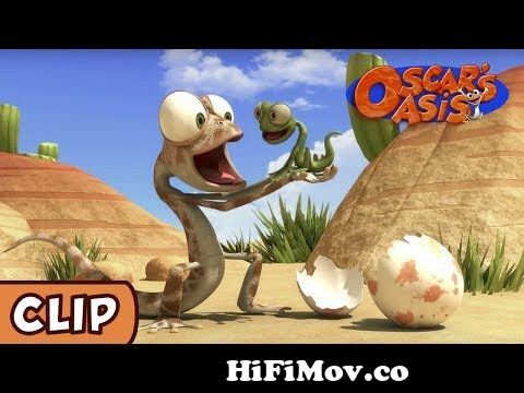 Oscar's Oasis - Baby Lizard | HQ | Funny Cartoons from টিকটিকি Watch Video  