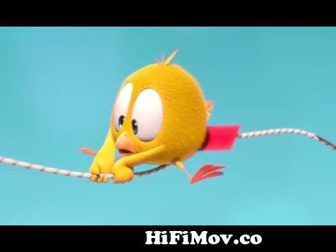Where's Chicky? Funny Chicky 2023 | THE FLYING KITE | Cartoon in English  for Kids | New episodes from chicken Watch Video 