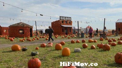 View Full Screen: fall foliage the end of beach season and pumpkin villages your prime cuts.jpg