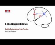 Cellular Mechanisms of Brain Function