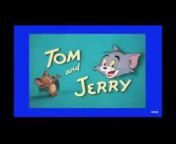 Tom jerry Cartoon YouTube