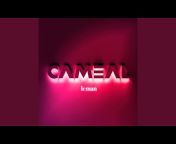 CAMEAL - Topic