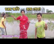 Sundarban Diary