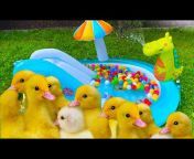 Funny Ducklings