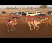 ميــدان الســوان Sewan Camel Race