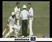ameloona85