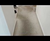 Metro Carpet Cleaning u0026 Solutions