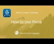 How to Learn Languages