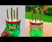 Great Gardening Idea