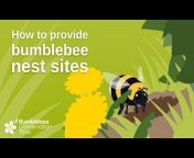 BumblebeeTrust