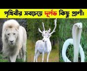 Wild Life Bangla