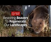 Beaver Trust