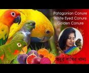 Parrot Saikat Vlogs