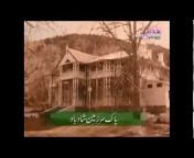 PTV (Pakistan Television)