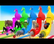 Funny Toon 3D Animals