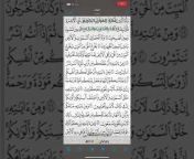 القرآن الكريم / بتلاوة أبوإياد الشمهاني