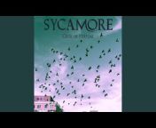 Sycamore - Topic