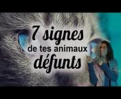 Pauline SAILLY - Connexion animale