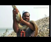 Ahtesham Khan Fishing