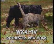 WXXI-TV Rochester in the 1980s