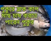 Fish farming Narsari bd