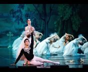 Classical Ballet and Opera House