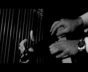 I am a Harpist in a Landscape &#124; harp and soul -