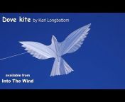 Into The Wind Kites
