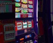 D Lucky Experience in Las Vegas