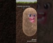 Pebble the Potato