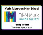 YS Music Boosters Association