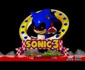 Um Gamer De Sonic