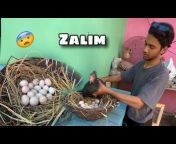 Sufyan Tariq vlogs
