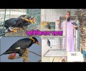 Bangla Pigeon Lovers