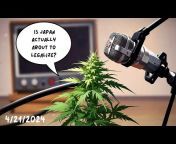 CannabisDailyNews
