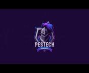 PESTECH