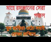 Nazrul Islamic Media