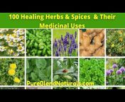 Natural Healing Guides And Organic Gardening